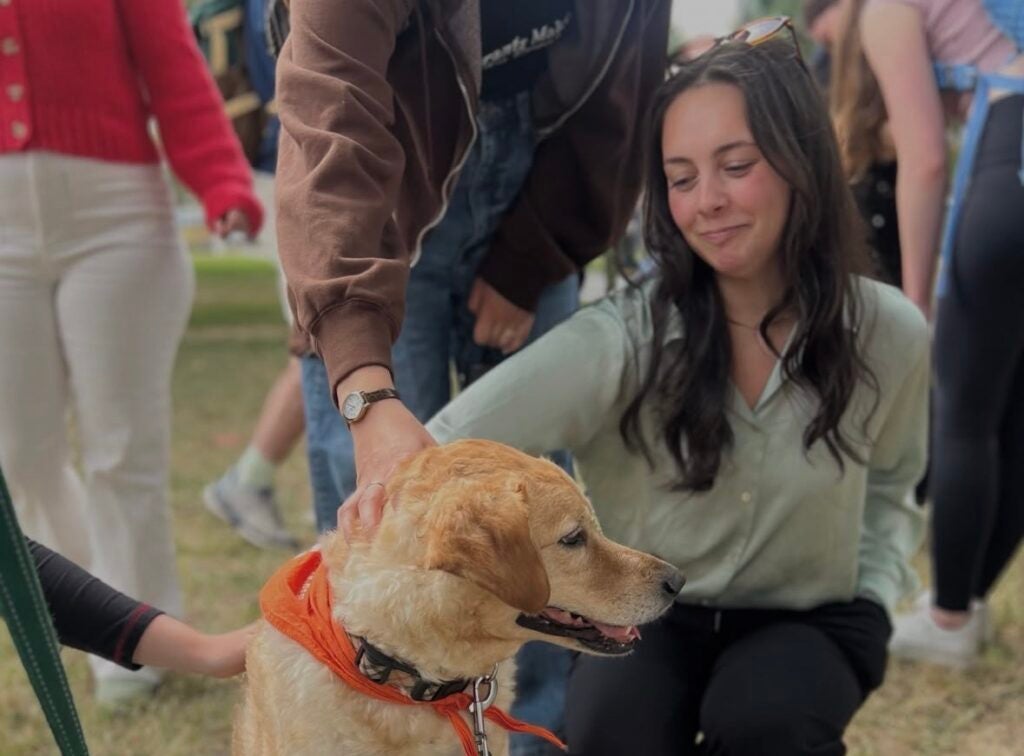 A brunette woman crouched down petting a golden retriever